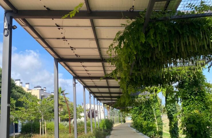 Xerrada informativa sota la pèrgola fotovoltaica de la Barceloneta.